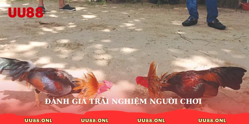 Đánh giá trải nghiệm người chơi
