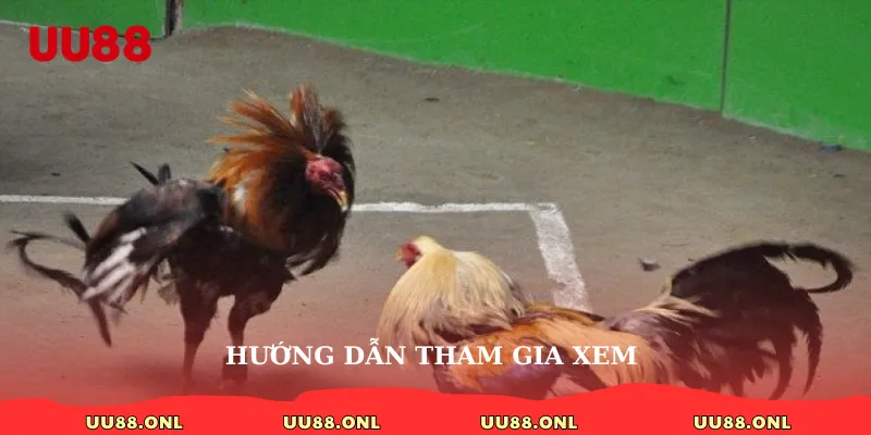 Hướng dẫn tham gia xem